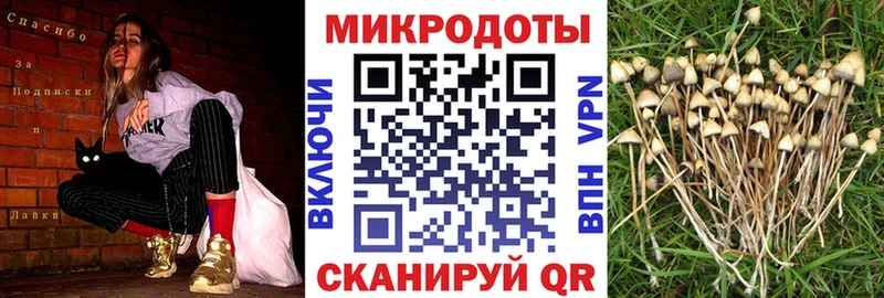 Псилоцибиновые грибы Psilocybe Купить где Белоозёрский